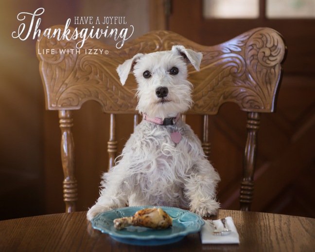 lifewithizzyhappytgiving-copytext